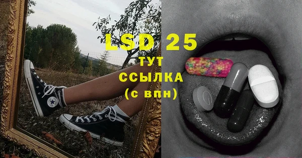 трава Верея